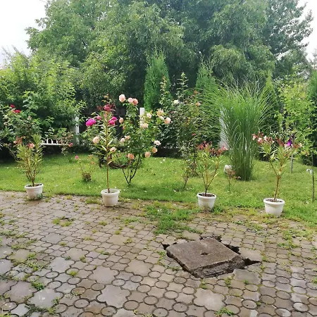 Apartmani Tvins Soko Banja Exterior photo