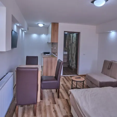 Apartmani Tvins Soko Banja Exterior photo
