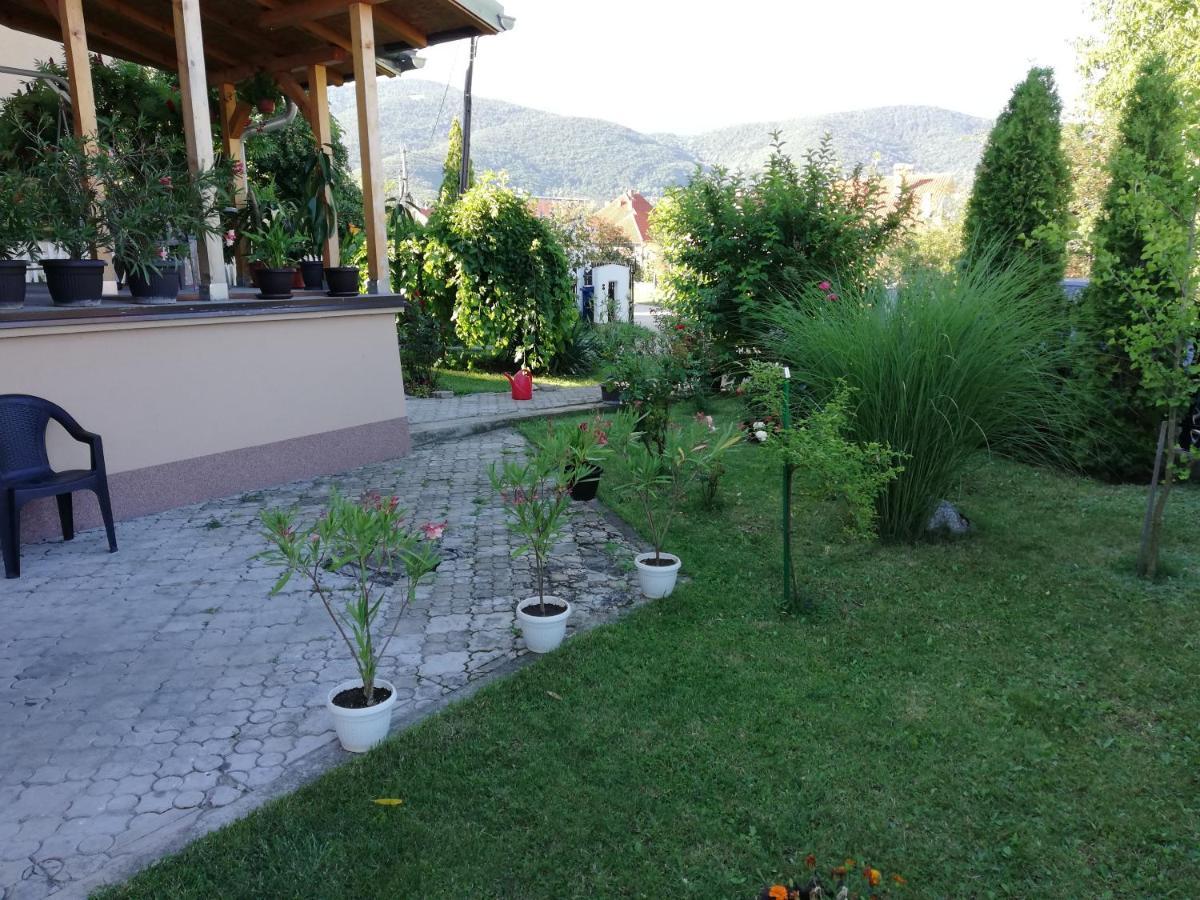 Tvins Apartment Soko Banja